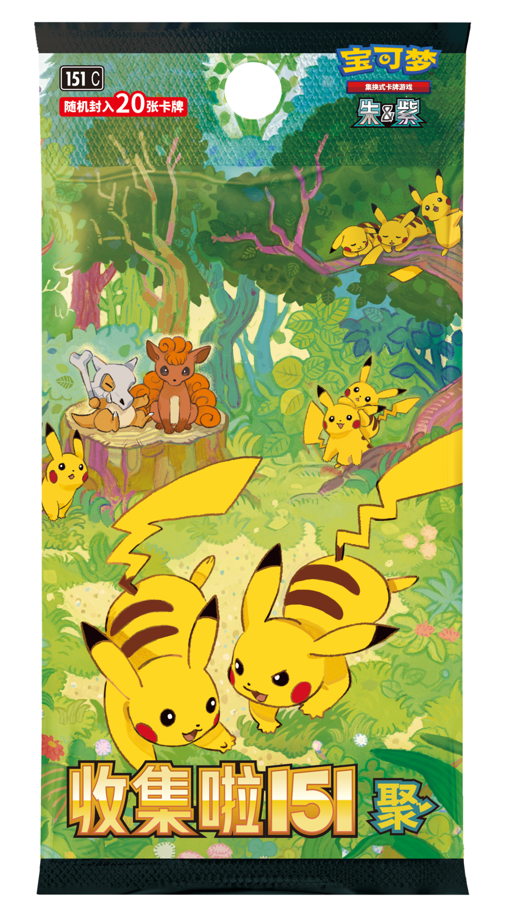 Kinesisk - 151 First Partner Boutique Gift Box - Charmander