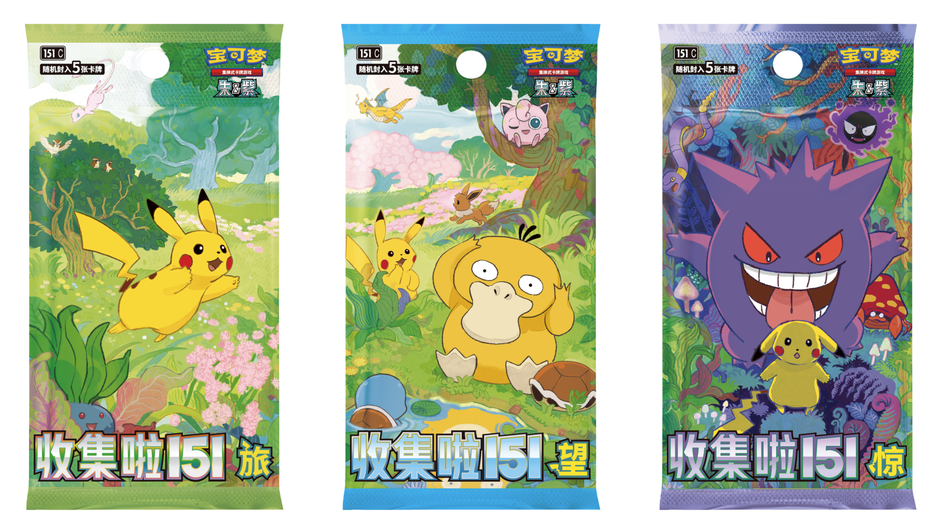 Collect 151 — The First Partner Display Set - Squirtle